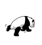 Panda★san（個別スタンプ：31）