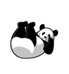 Panda★san（個別スタンプ：33）