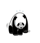 Panda★san（個別スタンプ：35）