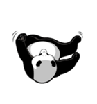 Panda★san（個別スタンプ：38）