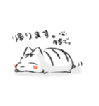 和もちねこ。（個別スタンプ：19）