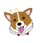 コーギー犬フォーちゃん（個別スタンプ：26）