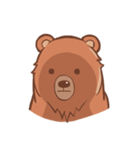Such a Grizzly Bear（個別スタンプ：31）
