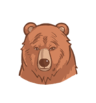 Such a Grizzly Bear（個別スタンプ：34）