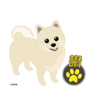 Happy 6th Birthday papillon littlePrince（個別スタンプ：19）