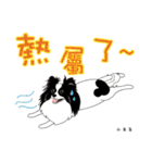 Happy 6th Birthday papillon littlePrince（個別スタンプ：28）