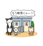 ほんわか猫たち（個別スタンプ：39）