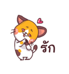 This is a cat！（個別スタンプ：2）