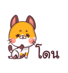 This is a cat！（個別スタンプ：5）