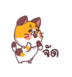 This is a cat！（個別スタンプ：7）