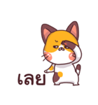 This is a cat！（個別スタンプ：10）