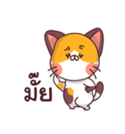 This is a cat！（個別スタンプ：11）