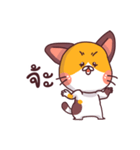 This is a cat！（個別スタンプ：12）