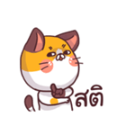 This is a cat！（個別スタンプ：15）