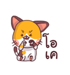 This is a cat！（個別スタンプ：16）