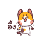 This is a cat！（個別スタンプ：24）