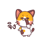 This is a cat！（個別スタンプ：28）