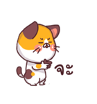 This is a cat！（個別スタンプ：33）