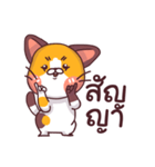 This is a cat！（個別スタンプ：34）