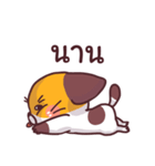 This is a cat！（個別スタンプ：39）