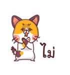 This is a cat！（個別スタンプ：40）