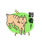 小豆とキジ（個別スタンプ：33）