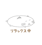 まるねこ ミャオ（個別スタンプ：23）