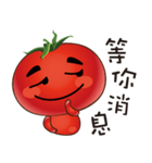 It's tomato ！（個別スタンプ：17）