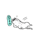 和田さんがかいた猫（個別スタンプ：16）