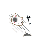 猫ねこネコNEKO（個別スタンプ：40）