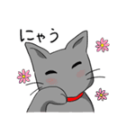 ビビリねこのあずき（個別スタンプ：4）