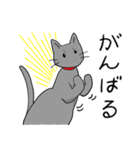 ビビリねこのあずき（個別スタンプ：6）