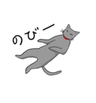 ビビリねこのあずき（個別スタンプ：11）