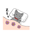 ビビリねこのあずき（個別スタンプ：13）