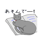 ビビリねこのあずき（個別スタンプ：14）