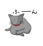 ビビリねこのあずき（個別スタンプ：15）