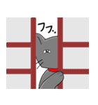 ビビリねこのあずき（個別スタンプ：16）