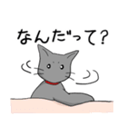 ビビリねこのあずき（個別スタンプ：18）