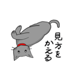 ビビリねこのあずき（個別スタンプ：20）