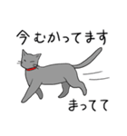 ビビリねこのあずき（個別スタンプ：23）