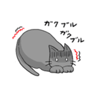 ビビリねこのあずき（個別スタンプ：28）