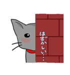 ビビリねこのあずき（個別スタンプ：29）