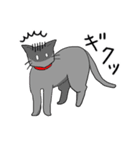 ビビリねこのあずき（個別スタンプ：30）