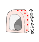 ビビリねこのあずき（個別スタンプ：32）