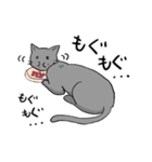 ビビリねこのあずき（個別スタンプ：38）