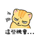 Mikan the Cat: Cantonese Slang（個別スタンプ：1）