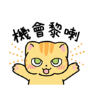 Mikan the Cat: Cantonese Slang（個別スタンプ：5）