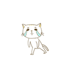 Potato and cat（個別スタンプ：27）