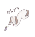 なすまげ犬（個別スタンプ：4）