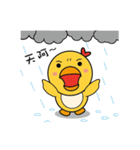 Chicken Master（個別スタンプ：13）